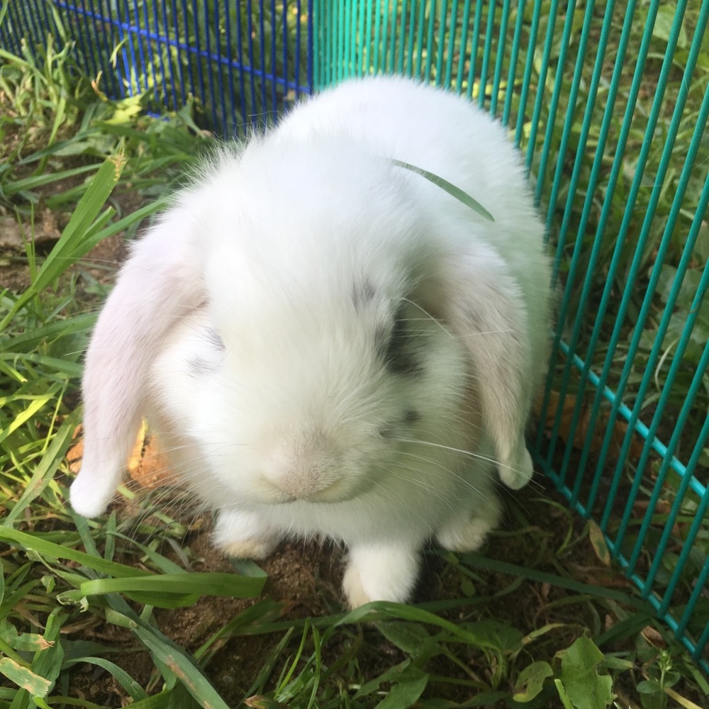 Meet your Posher, Carla